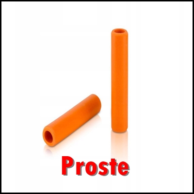 Gripy Proste